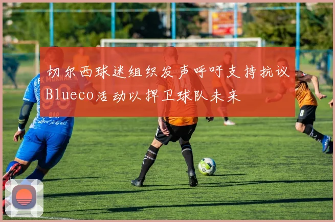 切尔西球迷组织发声呼吁支持抗议Blueco活动以捍卫球队未来