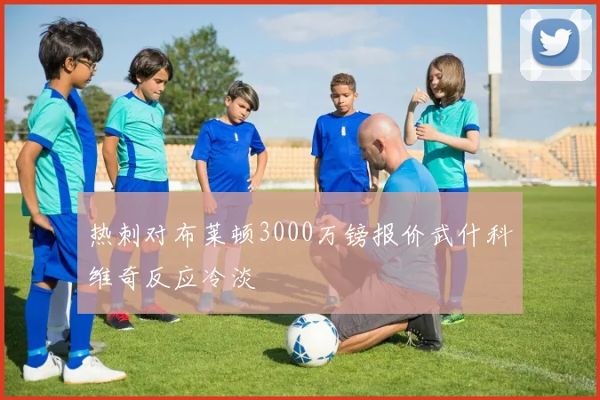 热刺对布莱顿3000万镑报价武什科维奇反应冷淡